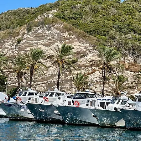 Les Hauts Du Port-appartement Neuf Sur Le Port