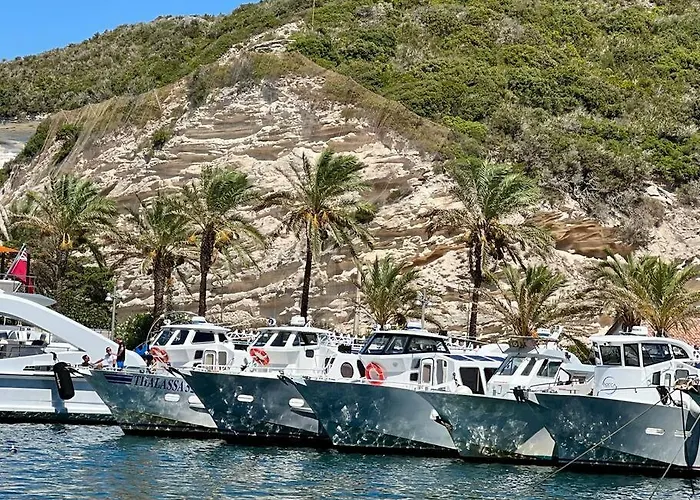 Les Hauts Du Port-appartement Neuf Sur Le Port